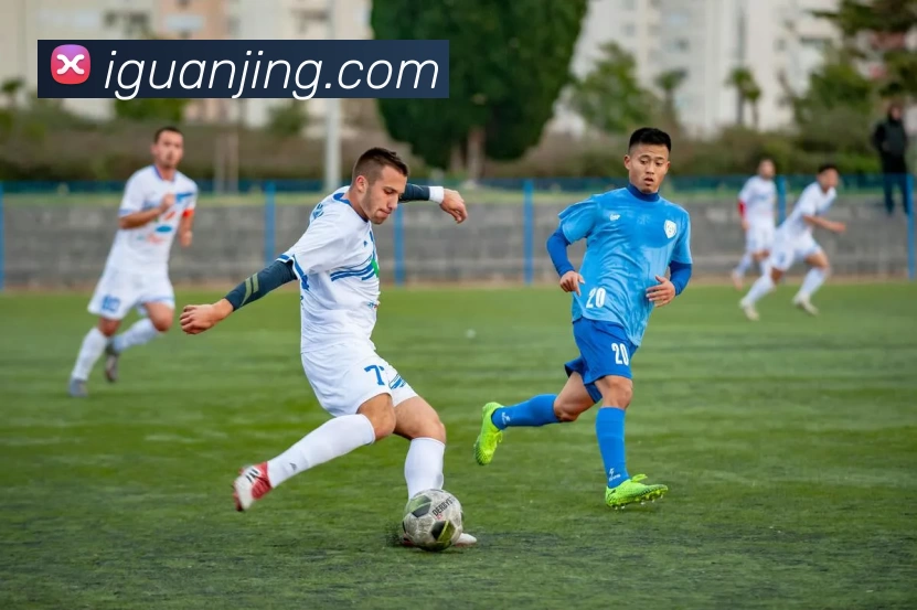 多媒体互动体验